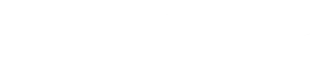 New Forest Exterior Cleaning Ltd transparent logo